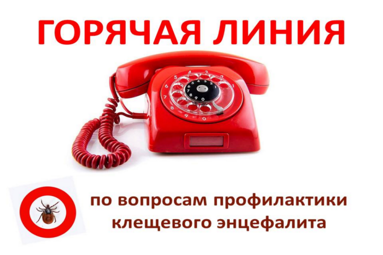Всероссийская горячая линия по профилактике клещевого энцефалита и инфекций, передающихся клещами Всероссийская горячая линия по профилактике клещевого энцефалита и инфекций, передающихся клещами.